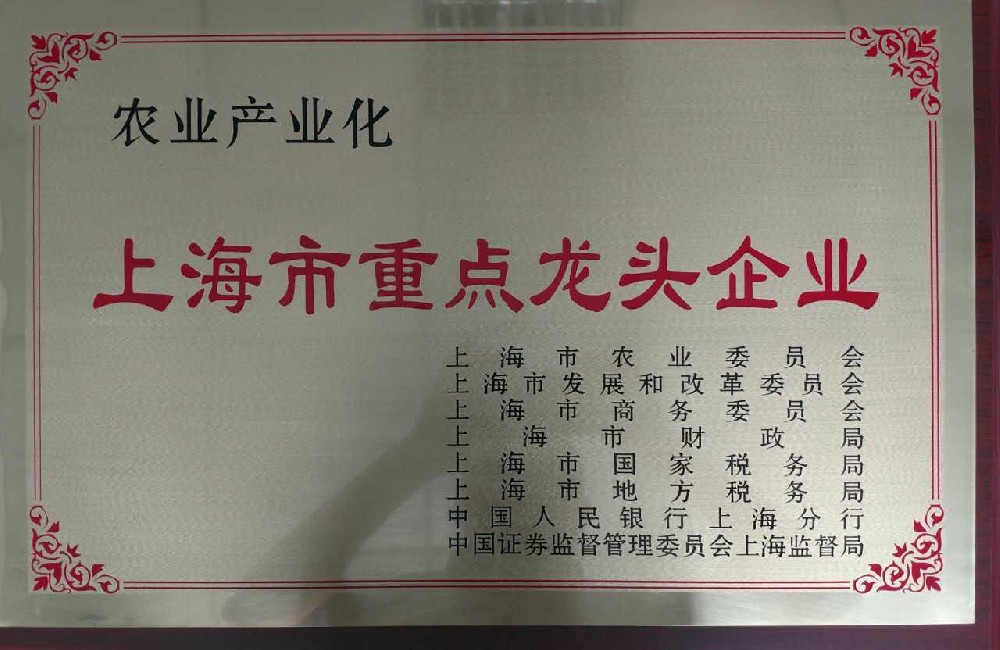上海市重點(diǎn)龍頭企業(yè)